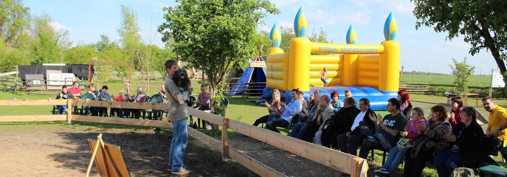 Hof der klugen Tiere