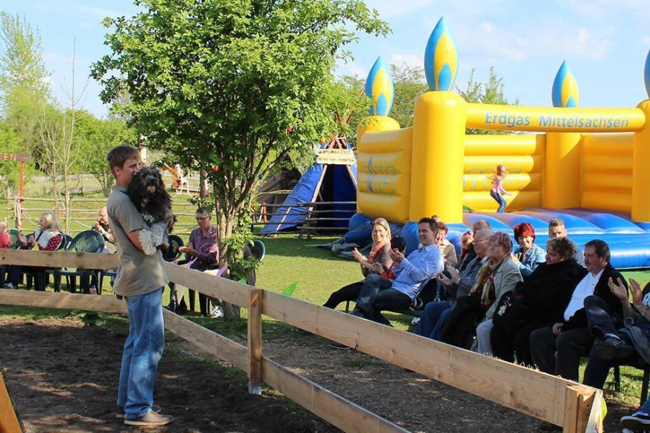 Hof der klugen Tiere