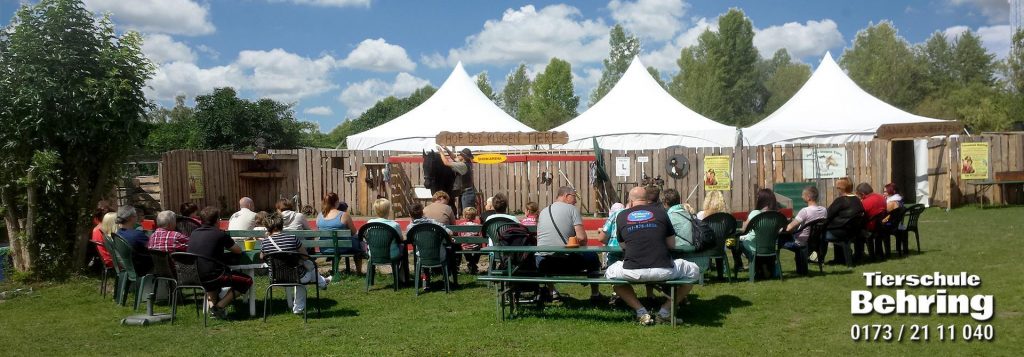 Hof der klugen Tiere