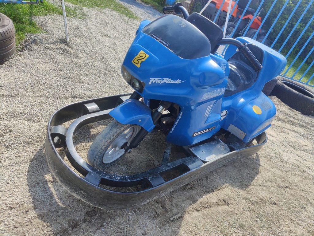 Rennen um den Elefanten