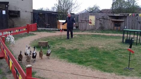 Kalle's Entenballett