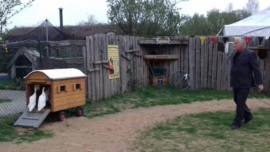 Kalle's Entenballett