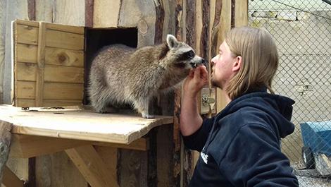 Kommentierte Fütterungen