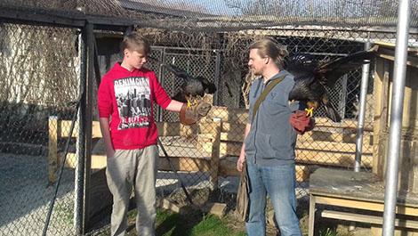 Greifvogelvorführungen mit Publikumsbeteiligung