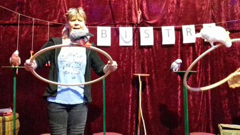 Die große Papageienschule